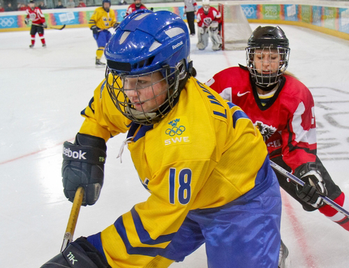 A preview image for the category: Hockey Defense