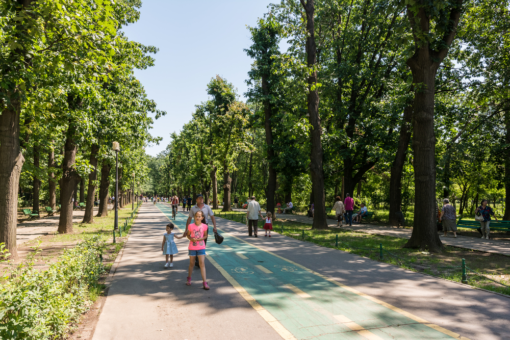 A preview image for the article: Community Programs That Have The Biggest Impact On Fitness